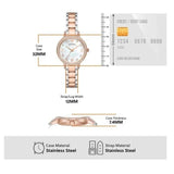 Emporio Armani Cleo Mother of Pearl Dial Two Tone Steel Strap Watch For Women - AR11499