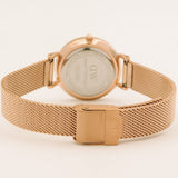 Daniel Wellington Petite Amber Brown Dial Gold Mesh Strap Watch For Women - DW00100476