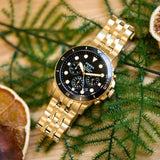 Fossil FS5836 FB-01 Chronograph Men’s Watch – Black Dial with Gold Steel Strap