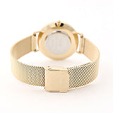 Daniel Wellington Petite Evergold Black Dial Gold Mesh Strap Watch For Women - DW00100345