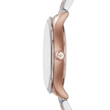 Emporio Armani Classic Silver Dial Two Tone Steel Strap Watch For Men - AR1839