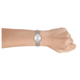 Armani Exchange Lola AX5535 Women's Analog Watch – Silver Dial with Matching Silver Mesh Strap