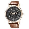 Citizen Eco-Drive Multi Function Day & Date Black Dial Brown Leather Strap Watch For Men - AO9003-08E