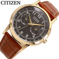 Citizen Eco-Drive Multi Function Day & Date Black Dial Brown Leather Strap Watch For Men - AO9003-08E