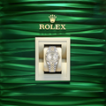Rolex Datejust 36 Champagne Dial Two Tone Steel Strap Watch for Men - M126233-0031