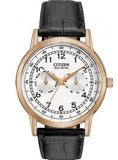 Citizen Eco-Drive AO9003-16A Men's Watch – White Dial with Day & Date, Black Leather Strap
