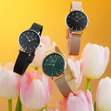 Daniel Wellington DW00100246 Petite Ashfield Women’s Watch – Black Dial with Black Mesh Strap