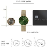 Daniel Wellington DW00100480 Petite Emerald Women's Watch – Green Dial & Gold Mesh Strap