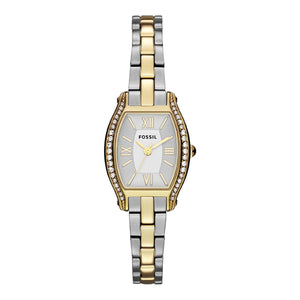 Fossil Molly Silver Dial Two Tone Steel Strap Watch for Women - ES3287