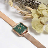 Daniel Wellington DW00100520 Quadro Studio Women's Watch – Green Dial & Rose Gold Mesh Strap