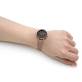 Daniel Wellington DW00100476 Petite Amber Women's Watch – Brown Dial & Gold Mesh Strap