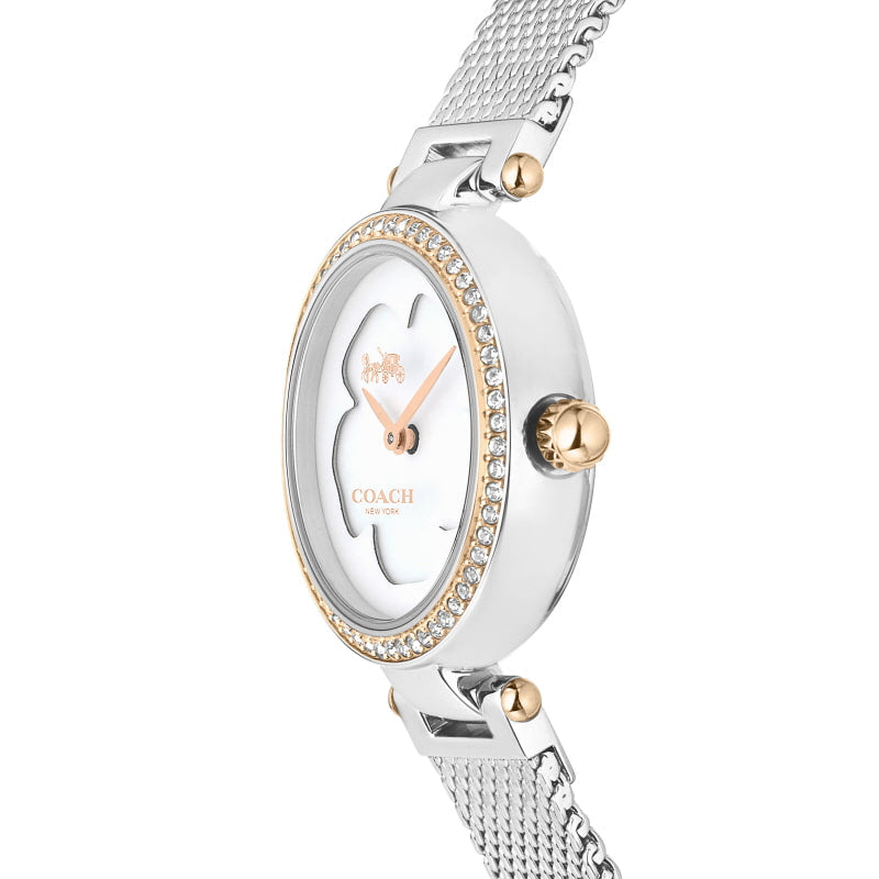 Coach Park Mother of Pearl Dial Silver Mesh Bracelet Watch for Women - 14503510