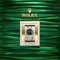 Rolex Datejust 41 Black Dial Two Tone Oystersteel White Gold Strap Watch for Men - M126333-0013